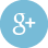 Google+