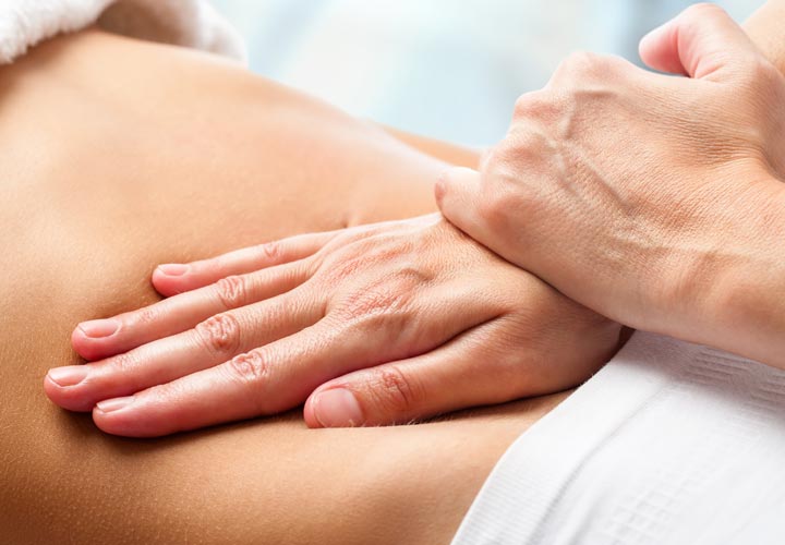 Abbildung Magen & Darm